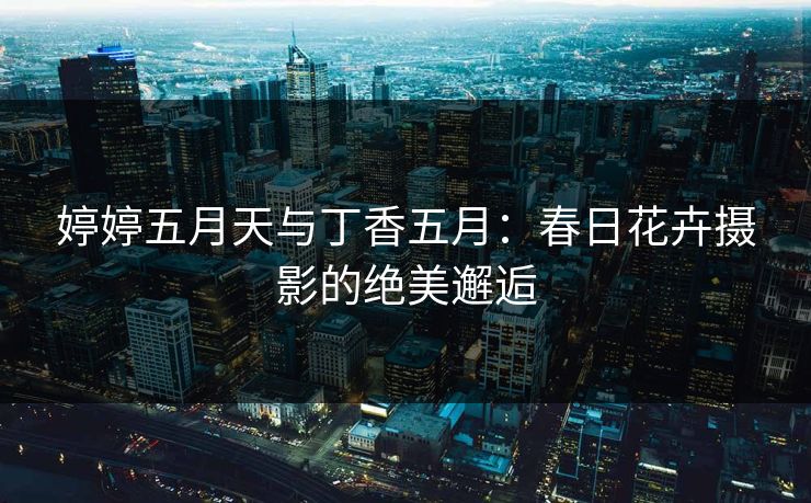 婷婷五月天与丁香五月：春日花卉摄影的绝美邂逅
