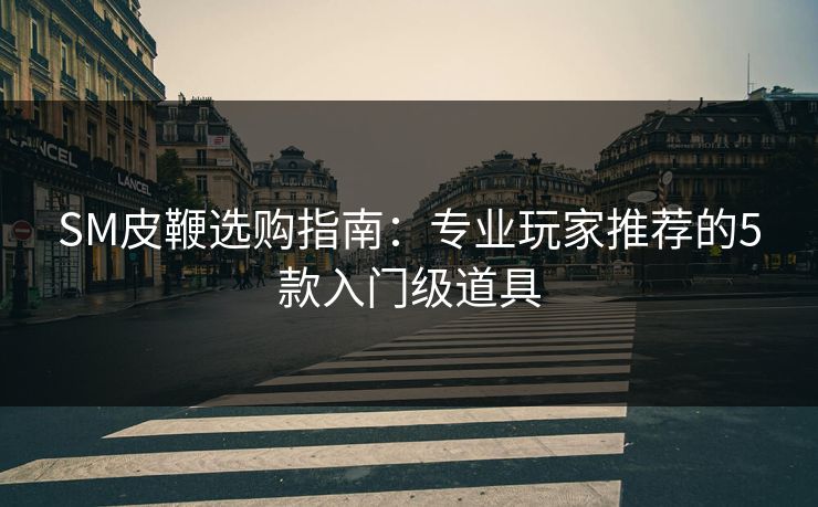 SM皮鞭选购指南：专业玩家推荐的5款入门级道具