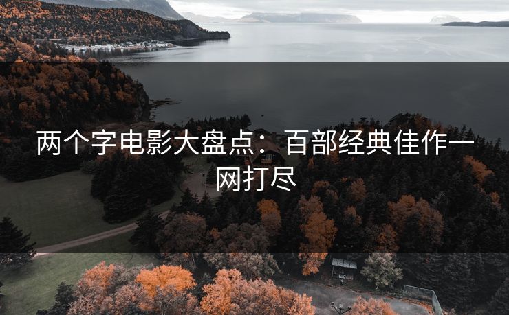 两个字电影大盘点:百部经典佳作一网打尽