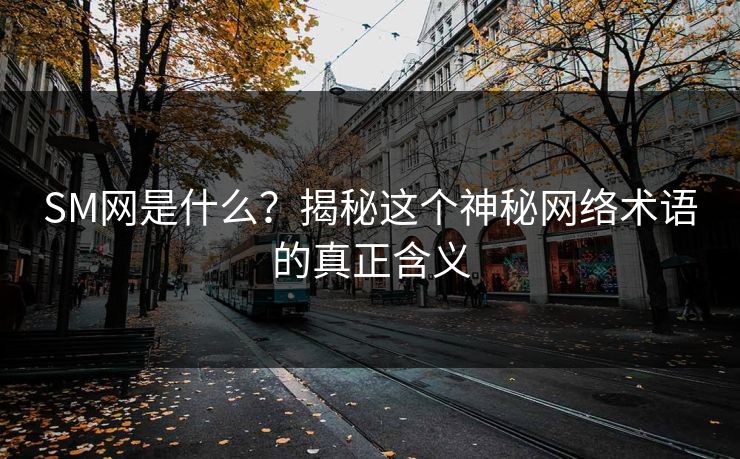 SM网是什么?揭秘这个神秘网络术语的真正含义
