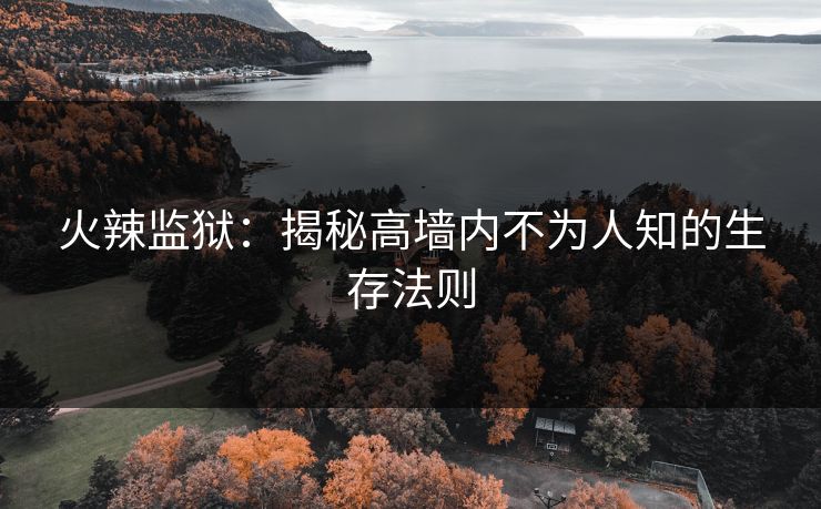 火辣监狱:揭秘高墙内不为人知的生存法则